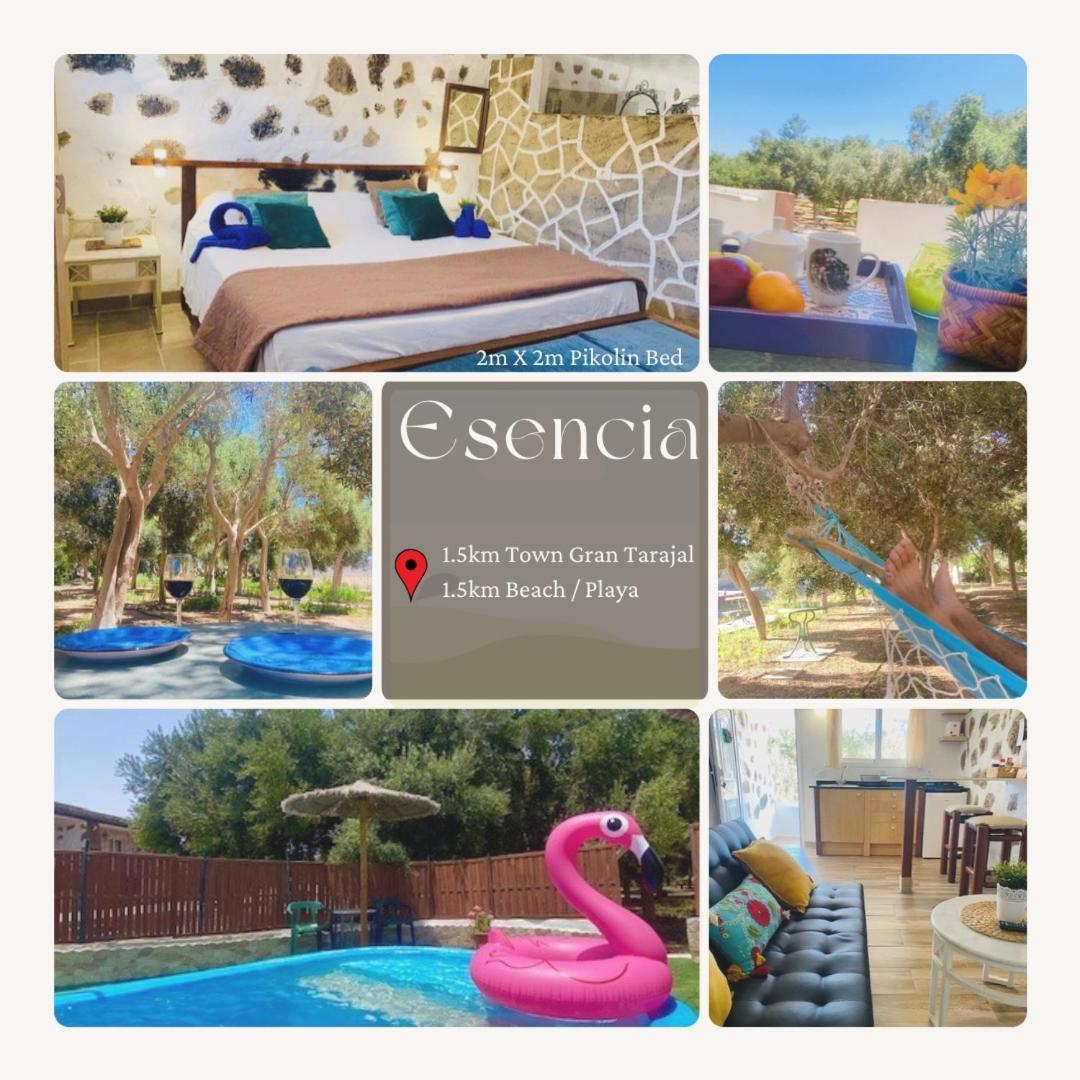 Bungalow Alma #Only Adults Эль-Чарко Экстерьер фото